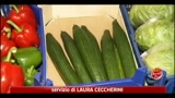 30/05/2011 - Batterio Killer, in Italia nessun caso di contaminazione
