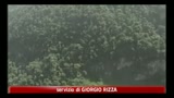 Oggi si celebra la giornata mondiale dell' ambiente