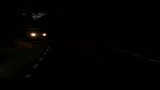 LA NOTTE DEI GIRASOLI - il trailer