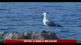 Vele Blu, la regina dell'estate è ancora Pollica