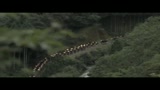 13 ASSASSINI - il trailer