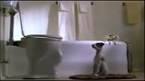 IL MIO CANE SKIP - il trailer