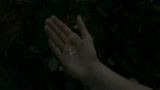 HARRY POTTER E I DONI DELLA MORTE - PARTE II - il trailer