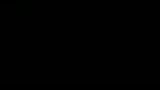 L'AMMAZZAVAMPIRI - il trailer