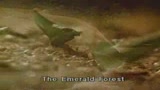 LA FORESTA DI SMERALDO - il trailer