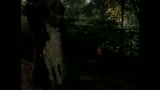 GLI OCCHI DEL PARCO - il trailer