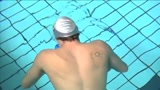 Nuoto, Mondiali al via: l'Adn Swim Project si presenta