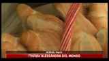 Camorra, le mani dei clan su pompe funebri e commercio pane