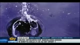08/08/2011 - Golf, sub a caccia di palline