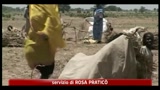 15/08/2011 - Sud Sudan, rapito operatore italiano di emergency