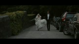 MELANCHOLIA - il trailer