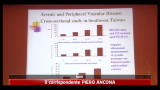 Arsenico nell' acqua potabile,nuova emergenza mondiale