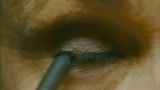 THIS MUST BE THE PLACE - il trailer