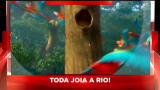 Sky Cine News: esce il dvd di Rio