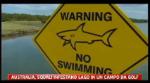 Australia, squali infestano lago in un campo da golf