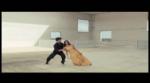 Pina: il trailer