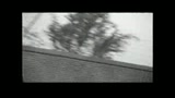 PASOLINI PROSSIMO NOSTRO - il trailer