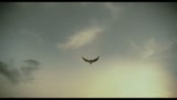 IMMORTALS 3D - il trailer