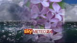 15/11/2011 - Meteo Italia
