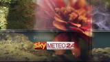 Meteo mondo mattina 23.11.2011