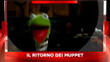 Sky Cine News: i Muppets