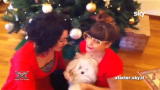Xmas Factor