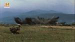 Vietnam in HD