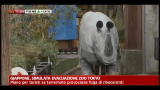 Giappone, simulata evacuazione zoo di Tokyo