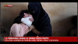 La Primavera Araba al World Press Photo