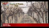 Truffa all'INPS: GdF scopre nel barese 467 falsi braccianti