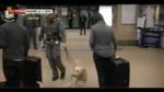 Droga, arrestati due corrieri a Malpensa