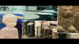 Nat Geo Adventure - Gli acchiappatesori