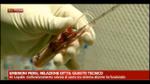 Embrioni persi, relazione ditta: guasto tecnico