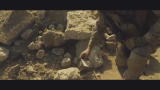 HO CERCATO IL TUO NOME - il trailer