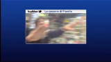 Twitter, la canzone di Fiorello
