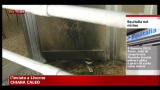 Molotov contro Equitalia a Livorno