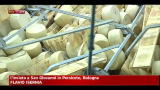Sisma, duro colpo alla produzione del Parmigiano