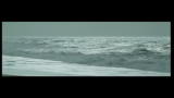 WOMB - il trailer