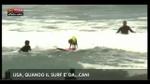 Lost&Found-USA, quando il surf è da...cani