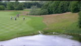 23/06/2012 - Open di Germania, sorpresa a Colonia: protagonista un cigno