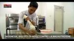 Lost & Found,Indonesia:biscotti di pesce contro denutrizione