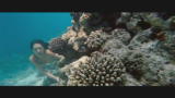 KITES - il trailer