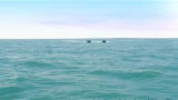 Disney XD - Fort Boyard