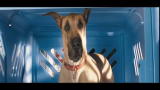 SANSONE - il trailer