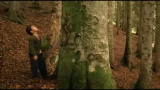BAL - il trailer