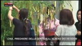 Lost & Found: Cina, preghiere sull'albero dei desideri