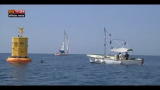 Lost & Found: emergenza meduse in Costa Azzurra
