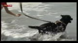 Versilia, in spiaggia con Fido