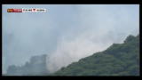 Incendi, molte regioni chiederanno stato calamità