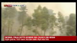 21/08/2012 - Incendi, Italia sotto assedio del caldo e dei roghi